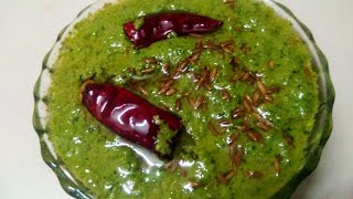 फराली चटनी  Farali Green Chutney Recipe  Upvas Chutney [upl. by Schechinger823]