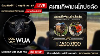 🔴 ถ่ายทอดสดวัวชน  สนามกีฬาชนโคบ้านบ่อล้อ วันที่ 10 พย 67 วัวชนสด วัวชนวันนี้ วัวชนสดวันนี้ [upl. by Pallaton]