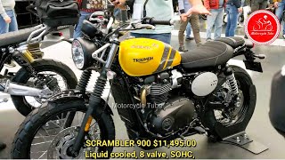 2024 TOP 10 SCRAMBLER MOTORCYCLES [upl. by Shepherd]