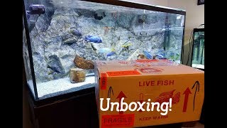 Time to Unbox Living Aquarium FishIm Over My Limit [upl. by Cr]