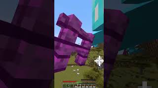 Protecting Villager vs Luck 3322 Moment meme shorts minecraft [upl. by Audry575]