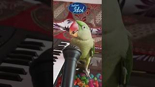 Parrot in Indian Idol 😂 [upl. by Aerua]