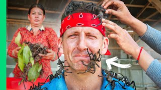 Tarantula Catch and Cook 10 Levels of Bug Eating in Asia [upl. by Attolrahc]