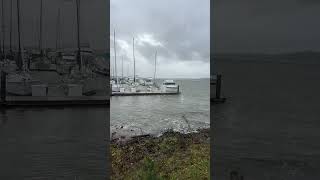 A Little Windstorm at the Marina sittingonthedockofthebay marinalife oceanlife [upl. by Jacobba]