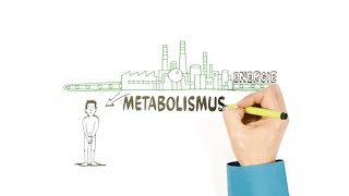 Metabolismus – o přeměně látek – NEZkreslená věda III [upl. by Siulesoj]