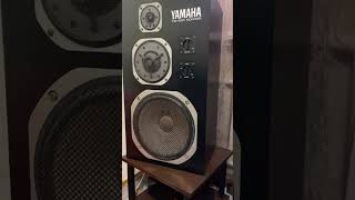 YAMAHA NS1000M 1 [upl. by Eidnim812]