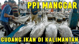 Beraneka Ragam Ikan di PPI Manggar Balikpapan [upl. by Tammy777]