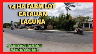 14 has Farm Land in Calauan Laguna for Sale Lot Code 2320 [upl. by Katerine526]