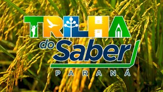 Programa Trilha do Saber 33 [upl. by Josephson715]