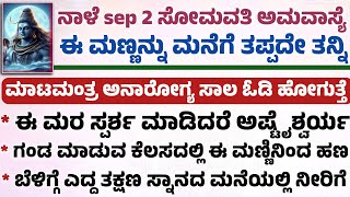 ನಾಳೆ ಸೋಮವತಿ ಅಮವಾಸ್ಯೆ ಇದೆ ಈ ಮಣ್ಣನ್ನು ಮನೆಗೆ ತಂದು ಮಿರಾಕಲ್ ನೋಡಿ Useful Information in Kannada amavasye [upl. by Gottlieb]