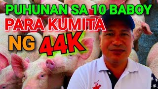 MAGKANO ANG TAMANG PUHUNAN SA 10 BABOY  NEGOSYONG BABUYAN [upl. by Elbring]