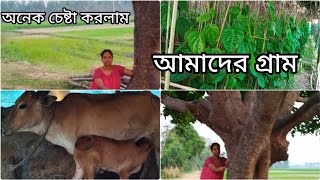 আমাদের গ্রাম। My village [upl. by Asilaj]