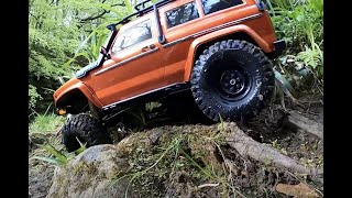 Cross RC FR4 Demon Trail Crawler NT4 AT4 [upl. by Christianna]