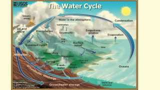 Hydrologic Cycle Explained  L22 [upl. by Alcina]