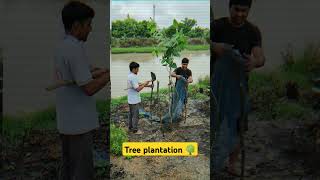 Tree plantation🌳 nature forest village vlog tree trending viral weather shorts viralshorts [upl. by Dlanger]