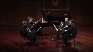 Quinteto en MibM  KV 452 para piano  oboe  clarinete  trompa y fagot  W A Mozart [upl. by Tengler]