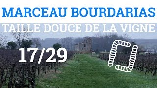 1729  M BOURDARIAS  Taille Douce de la Vigne  Taille Douce du Guyot [upl. by Rech767]