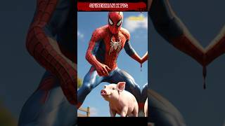 Spider Man X Pig shorts avengers spiderman [upl. by Anim]