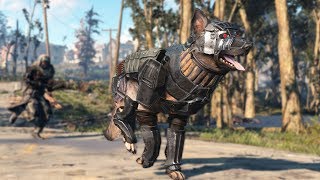 Dogmeat Combat Armor  Upcoming Mods  Episode 114  Fallout 4 PCXbox One [upl. by Janelle]