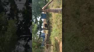 5 Acres Organic Agriculture Land for Lease In Shankarampet Medak Hyderabad [upl. by Elsa]