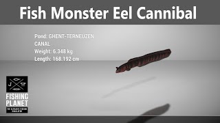 Fishing Planet Fish Monster Mission Eel Cannibal Ghent Terneuzen [upl. by Eoj]