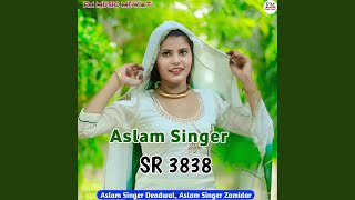 Aslam Singer SR 3838 [upl. by Nyladnarb]