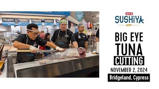 HEB Bridgeland Tuna Cutting PROMO [upl. by Dewhirst]