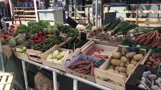 Découverte du marché de SaintCyprien avec le bus du Calagogo [upl. by Devon]