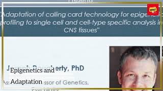 What Is the Role of Epigenetics in Evolutionary Biology [upl. by Jenness]