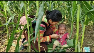 Single mother picking wild vegetables  helping an abandoned girl [upl. by Cori]