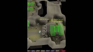 THE MOST SLEPT ON AGILITY COURSE OF ALL TIME OSRS SHORTS [upl. by Lela]