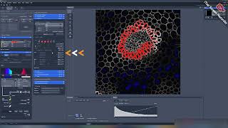 Confocal Clarity Mastering the LSM880Channels Settings Part 3 [upl. by Aicrag]