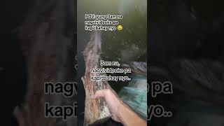 karaoke pa more 🤣 karaoke videoke funny funnyreels comedyreels fypyoutube fyp fypシ゚viral [upl. by Haissem]