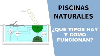 Piscinas ecológicas claves y beneficios [upl. by Ofloda]