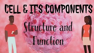 CELLampITS COMPONENTSSTRUCTUREamp FUNCTION ANATOMY AND PHYSIOLOGYNursingeducationlandnursing [upl. by Eessac430]