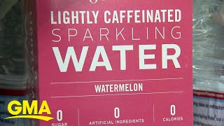 How to Make Carbonated Sparkling Seltzer Water at Home [upl. by Eisnil]