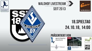 18Spieltag SSV Ulm  SV Waldhof [upl. by Prospero805]