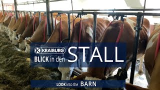 Kombihaltung – Blick in den Stall [upl. by Janine]