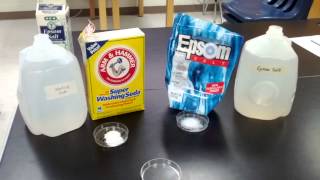 Washing Soda and Epsom Salt Reaction [upl. by Helbona]