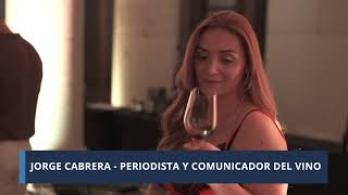 Se realizó la Argentina Wine Experience la gala del vino argentino [upl. by Nelleus293]