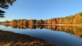 Peak Fall Foliage Weekend [upl. by Reve838]