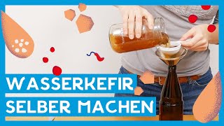 Wasserkefir selber machen 🍹 I DIY schnell und einfach I Brew it yourself [upl. by Wilda]