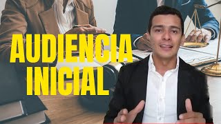 Audiencia Inicial del Articulo 372 Código General del Proceso  Paso a Paso [upl. by Regdirb]