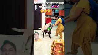 I like dogs 🐕 doglover funny love petsyoutubeviraldeepak shortvideo deepakkulshrestha7662 [upl. by Purvis]