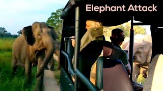 Angry elephants comes to the tourism jeep elephant attack [upl. by Ettenel]