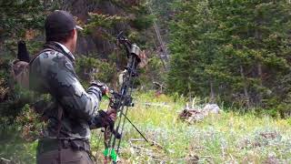 2023 Wyoming Archery Elk Hunt [upl. by Hteboj]