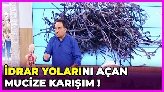 İdrar Yolları Nasıl Temizlenir  Feridun Kunak Show  5 Mart 2019 [upl. by Plossl]