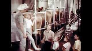 Uncle Jims Dairy Farm 1963 [upl. by Enihsnus]