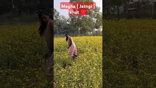 Magha hi punp  jatngi ka flower  chiri lohardaga Fun time [upl. by Seagrave764]