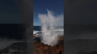 Quobba Blow Holes westernaustralia carnarvon blowhole coast waves swell oceanlife [upl. by Aicnelev550]